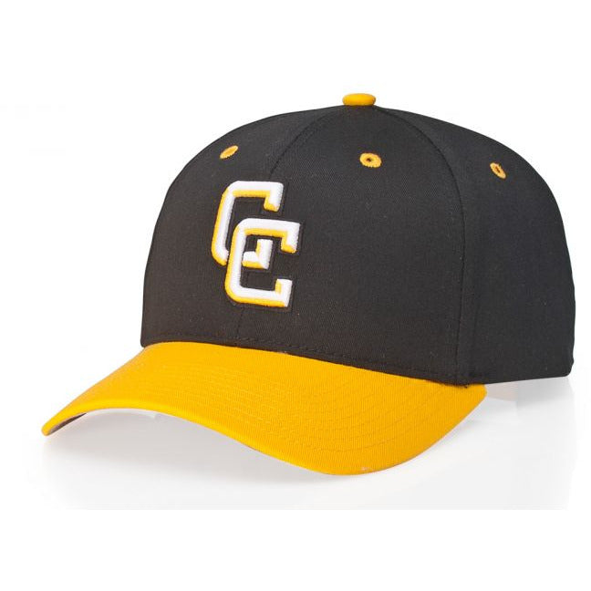 Richardson Caps Pro Twill Snapback Hat